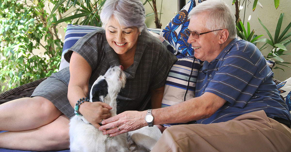 Dog Owners Live Longer After a Heart Attack or Stroke Bottom Line Inc